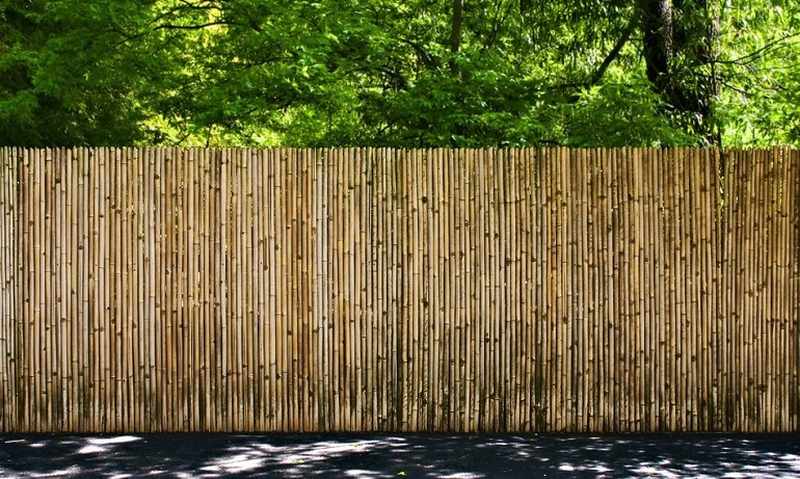 Bamboo fence